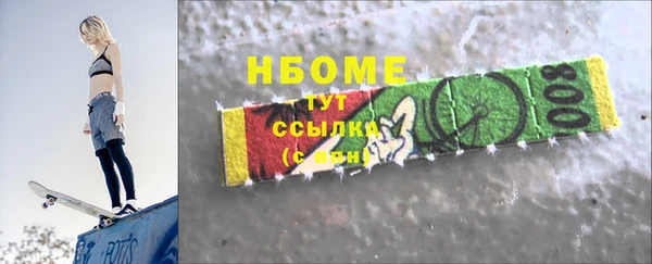 индика Новодвинск