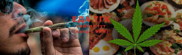 дурь Няндома