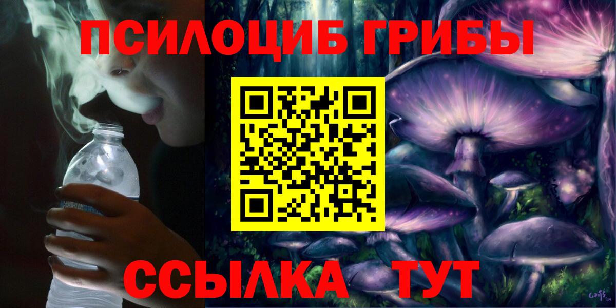 купить   Псилоцибиновые грибы Psilocybine cubensis  Вход с VPN  Псилоцибиновые грибы GOLDEN TEACHER  Луга 